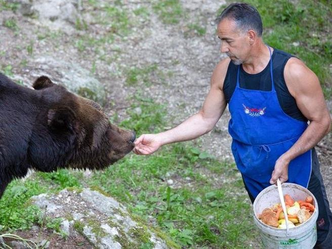 Fausto Iob, il custode dell’orso trovato morto nel lago dove è scomparsa Sara Pedri: arrestato il boscaiolo David Dallago