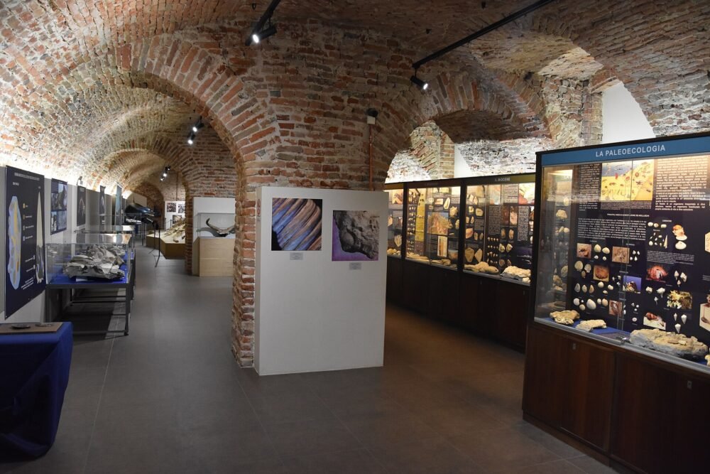 Asti - museo paleontologico 0306 – rinnovo patente ad Asti
