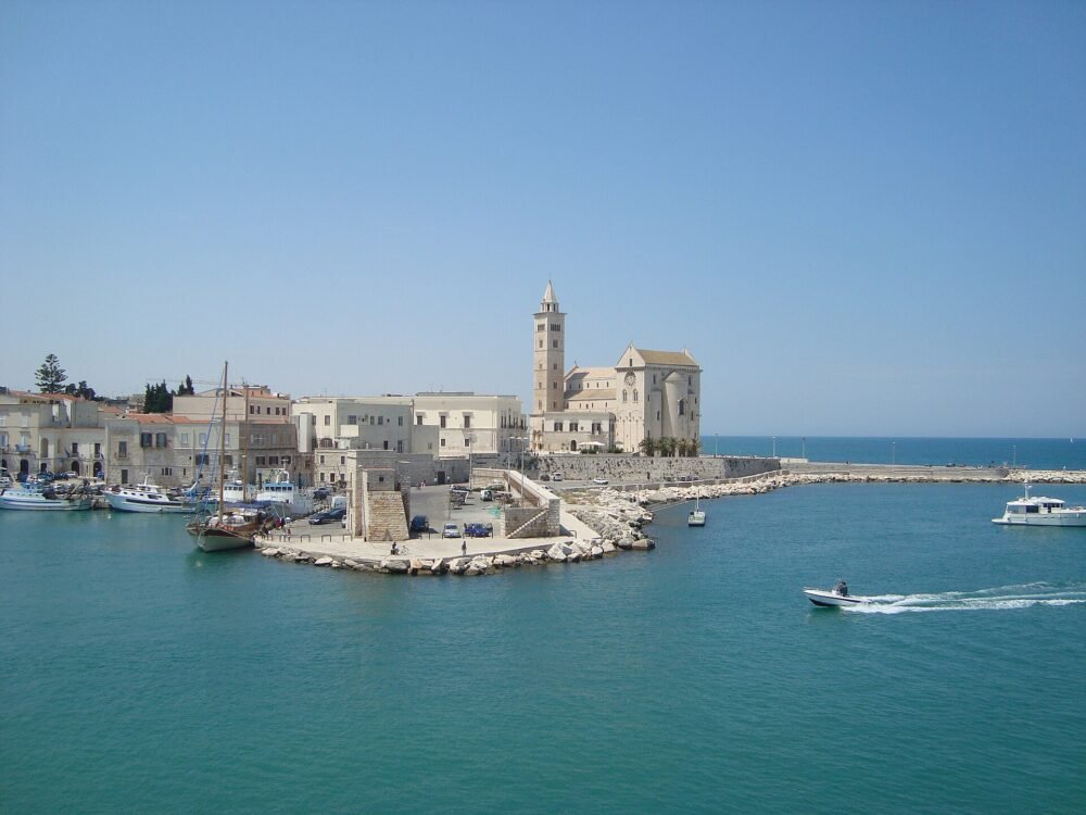 Trani 061 – rinnovo patente a Trani