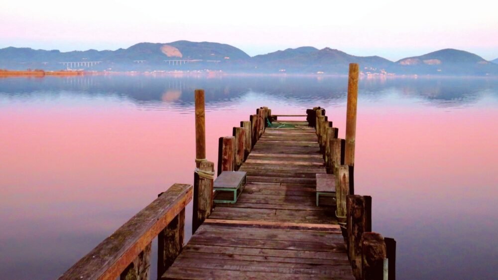 Lago di Massaciuccoli - Torre del Lago Puccini – rinnovo patente a Torre del Lago Puccini